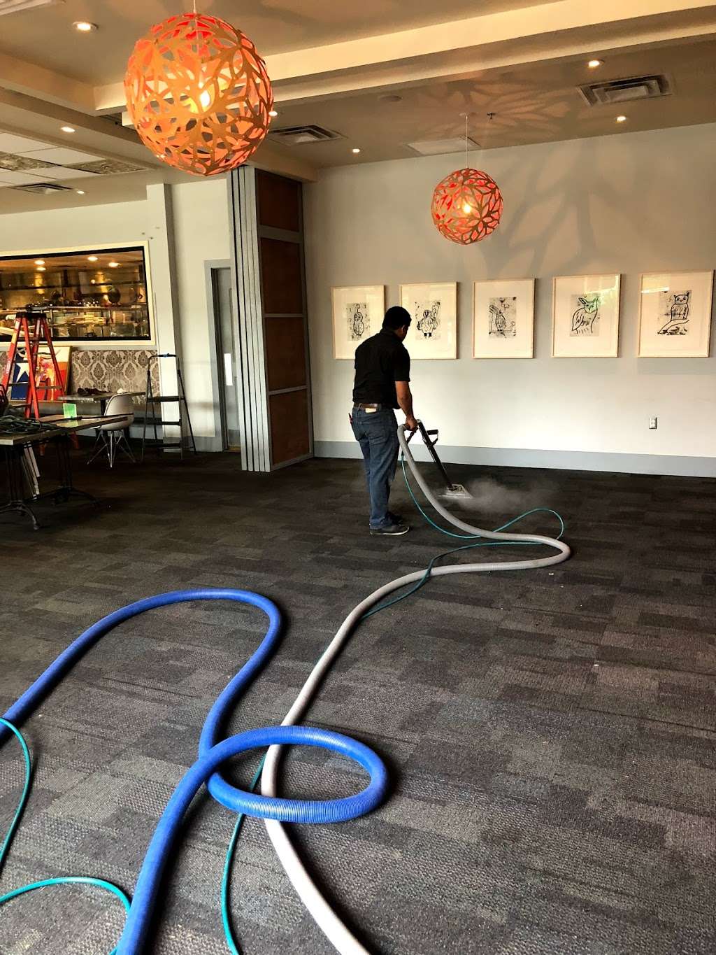 Carpet Cleaning Cypress | 12906 Fry Rd, Cypress, TX 77433, USA | Phone: (713) 231-6996