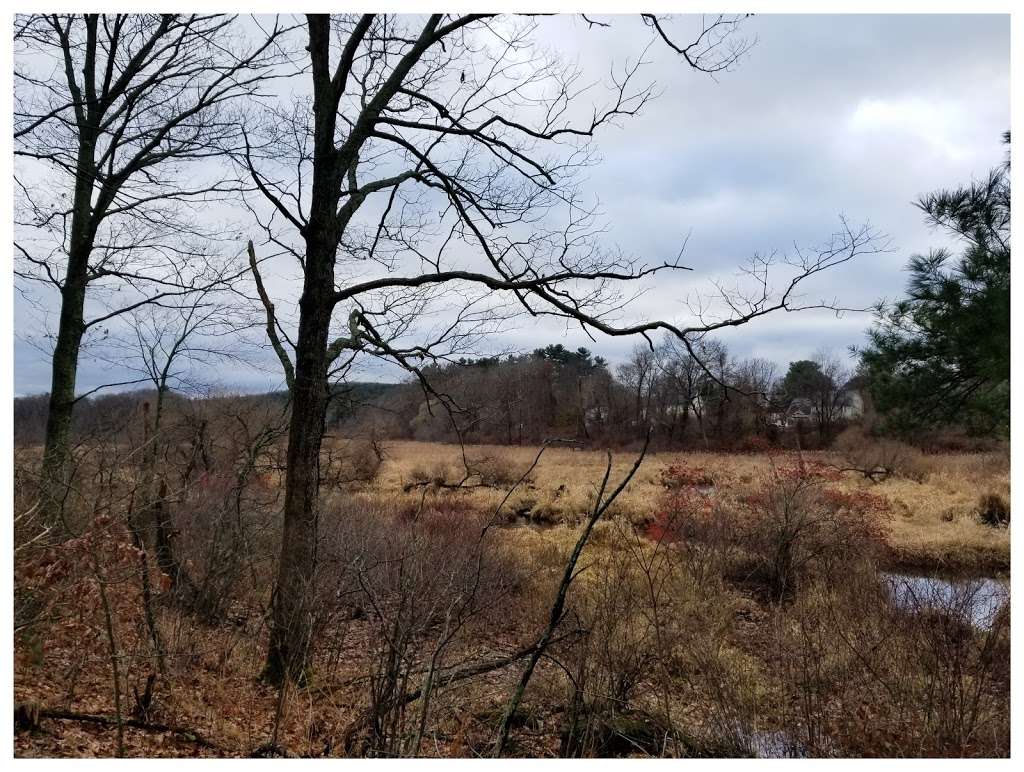 Michael P. Yellick Conservation Area | NBOR-035.0-0036, Northborough, MA 01532, USA