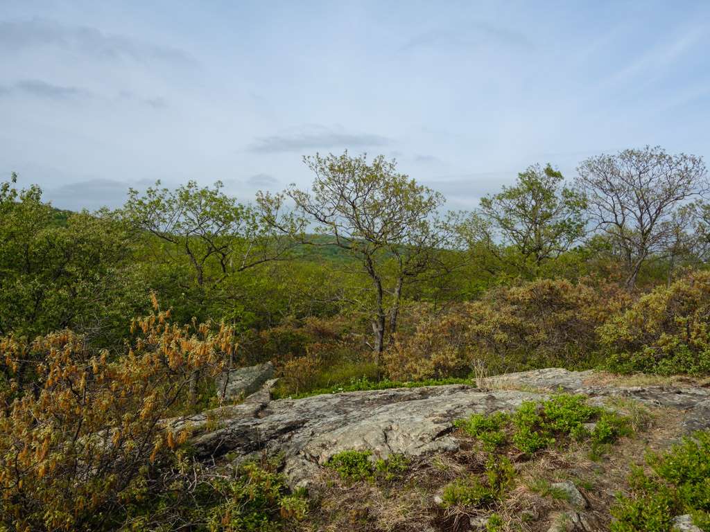 Ladentown Mountain | Haverstraw, NY 10970, USA