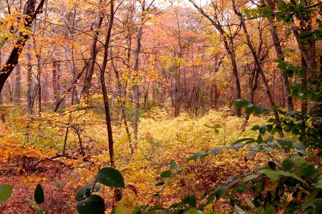 Ten Mile River Greenway | Ten Mile River Greenway Bikepath, Rumford, RI 02916, USA