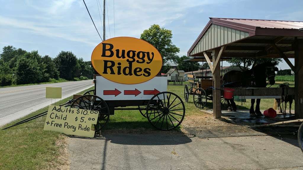 Buggy rides at Antique Barn | 3509669900000, Bird in Hand, PA 17505, USA | Phone: (717) 371-0876