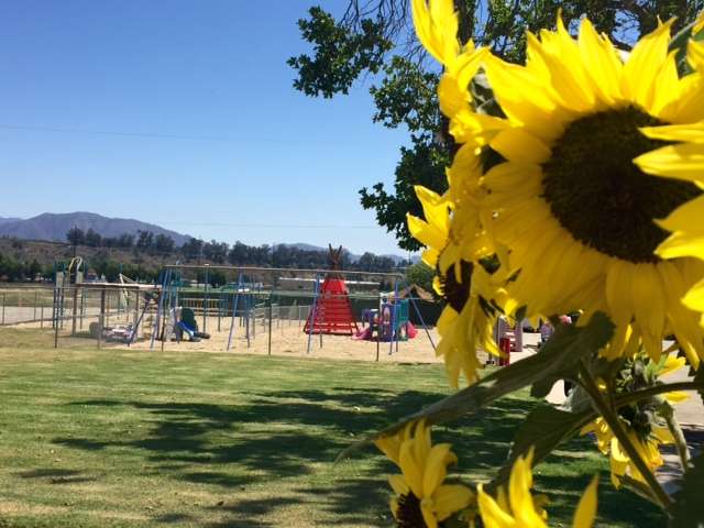 Somis Community Preschool | 3300 West St, Somis, CA 93066, USA | Phone: (805) 386-3175