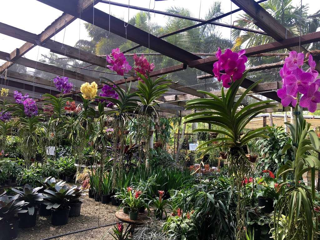 Bamboo And Orchid Gardens | 2325 S Flamingo Rd, Davie, FL 33325, USA | Phone: (954) 931-7733 Bamboo And Orchid Gardens | 2325 S Flamingo Rd, Davie, FL 33325, USA | Phone: (954) 931-7733