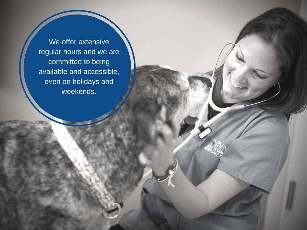 Bush Veterinary Neurology Service - Rockville | 1 Taft Ct, Rockville, MD 20850, USA | Phone: (301) 637-4248