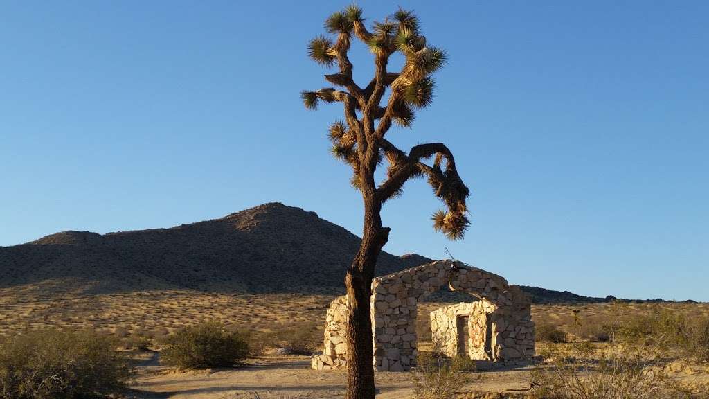 Alpine Butte Wildlife Sanctuary | Palmdale, CA 93591, USA