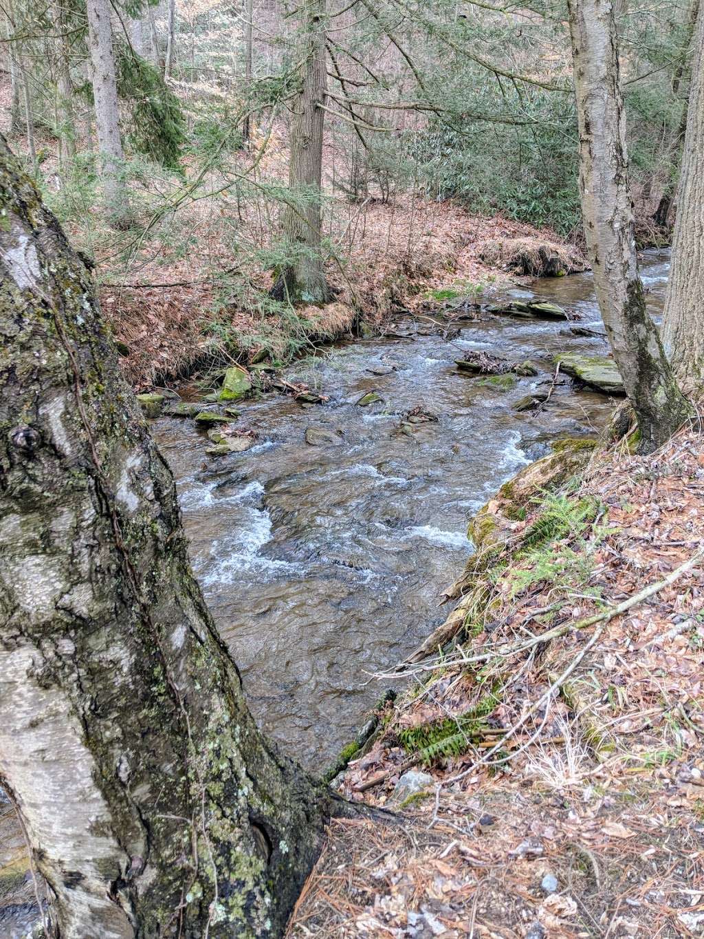 Climbers Run Nature Preserve | 226 Frogtown Rd, Pequea, PA 17565, USA