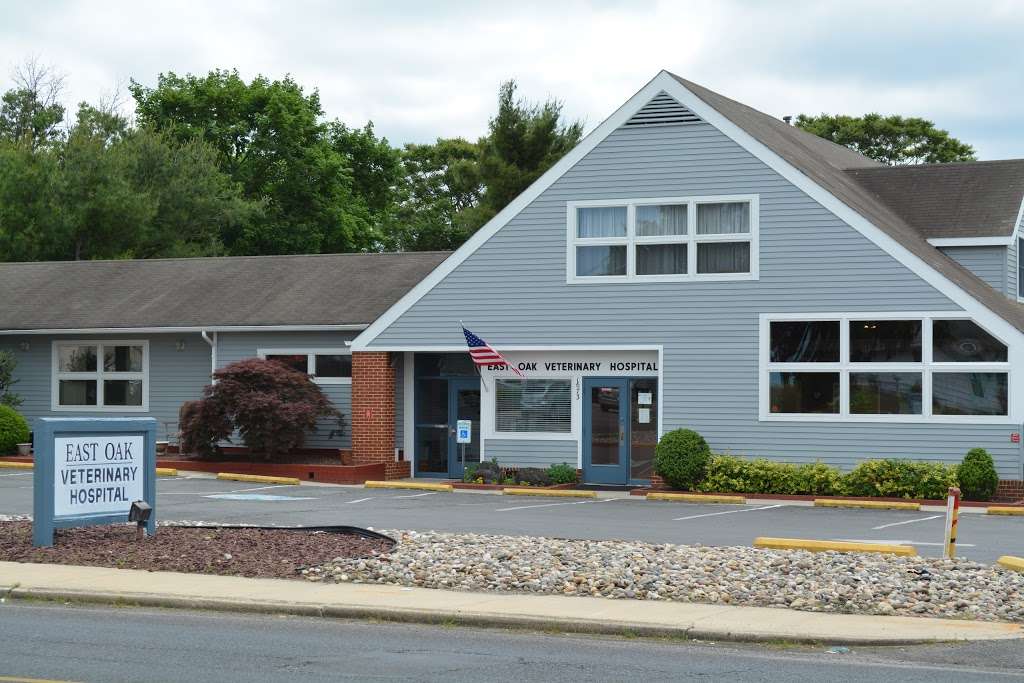 East Oak Veterinary Hospital | 1673 E Oak Rd, Vineland, NJ 08361 | Phone: (856) 696-4440