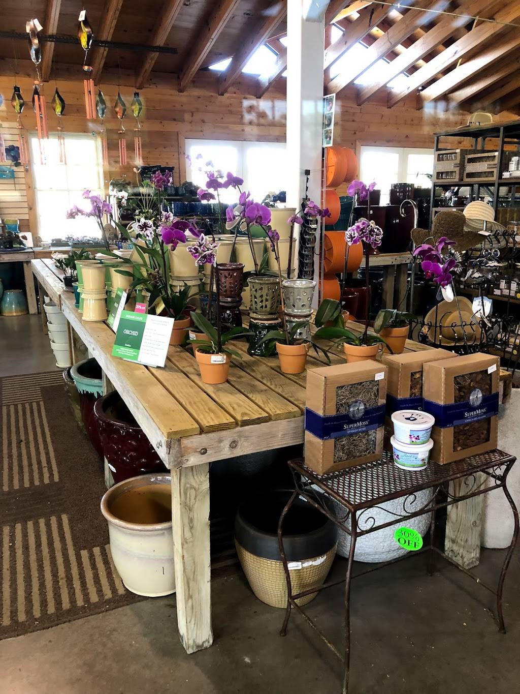 Calloways Nursery | 1424 N Center St, Arlington, TX 76011, USA | Phone: (817) 861-1195