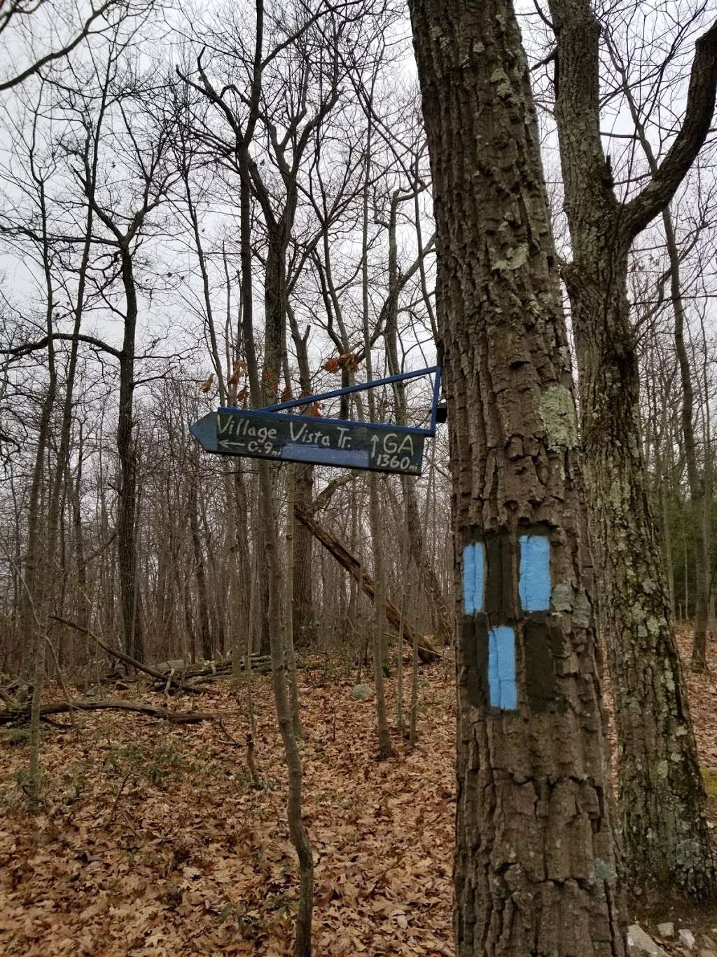 Village Vista Trail Jct. West | Appalachian Trail, Warwick, NY 10990, USA