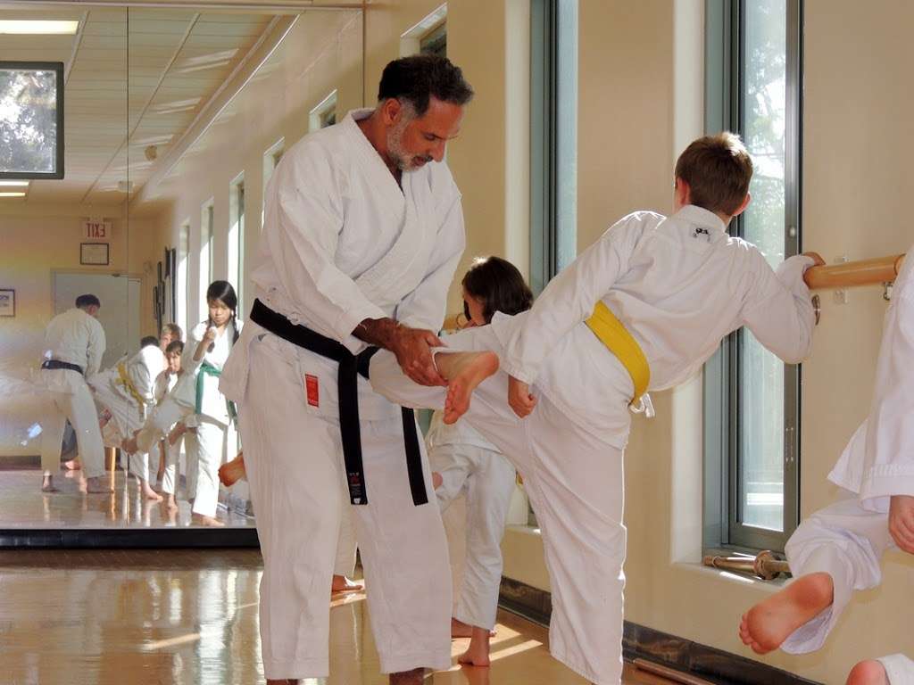 Shoshin Karate-Do International | 1564, 30850 Rancho Viejo Rd, San Juan Capistrano, CA 92675, USA | Phone: (949) 728-2611