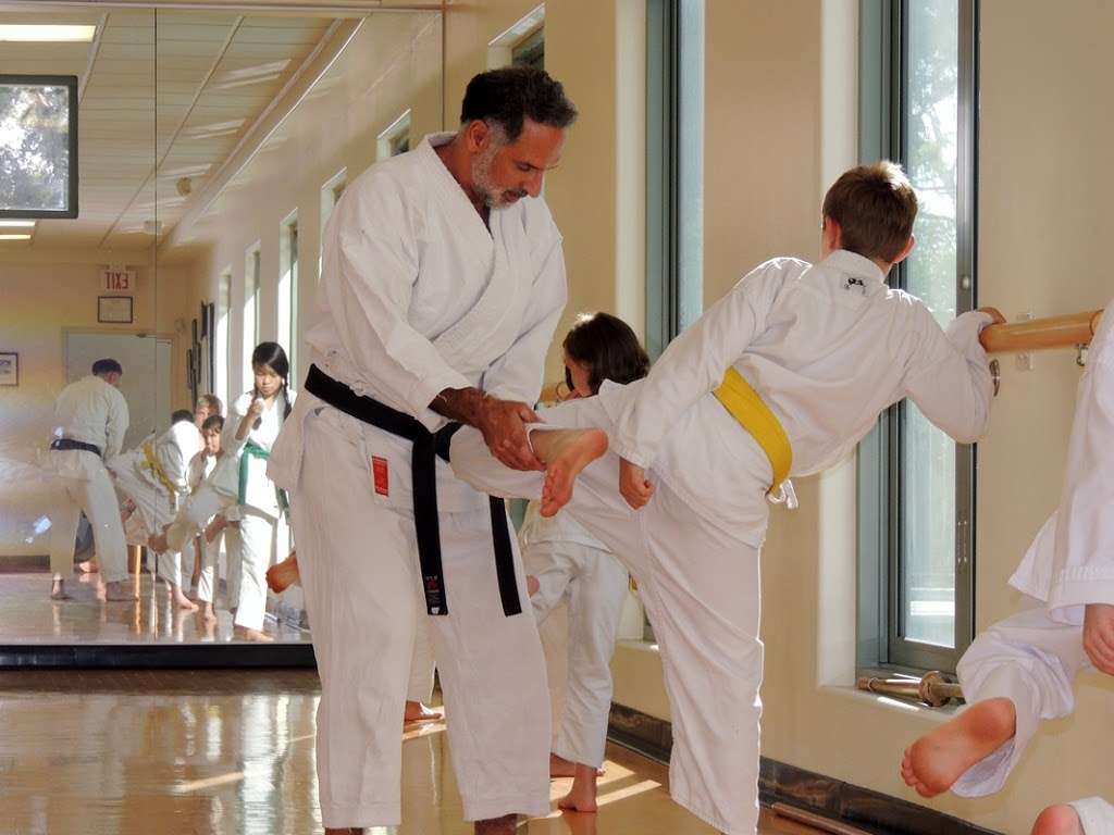 Shoshin Karate-Do International | 1564, 30850 Rancho Viejo Rd, San Juan Capistrano, CA 92675 | Phone: (949) 728-2611