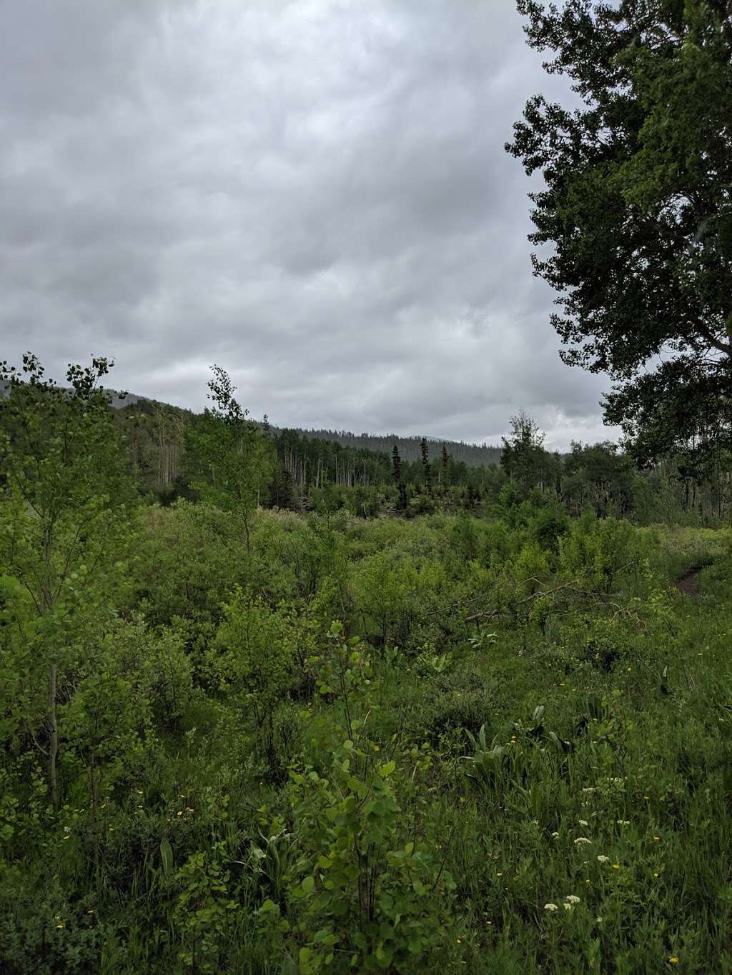 Devils Thumb Trailhead | Unnamed Road, Nederland, CO 80466, USA