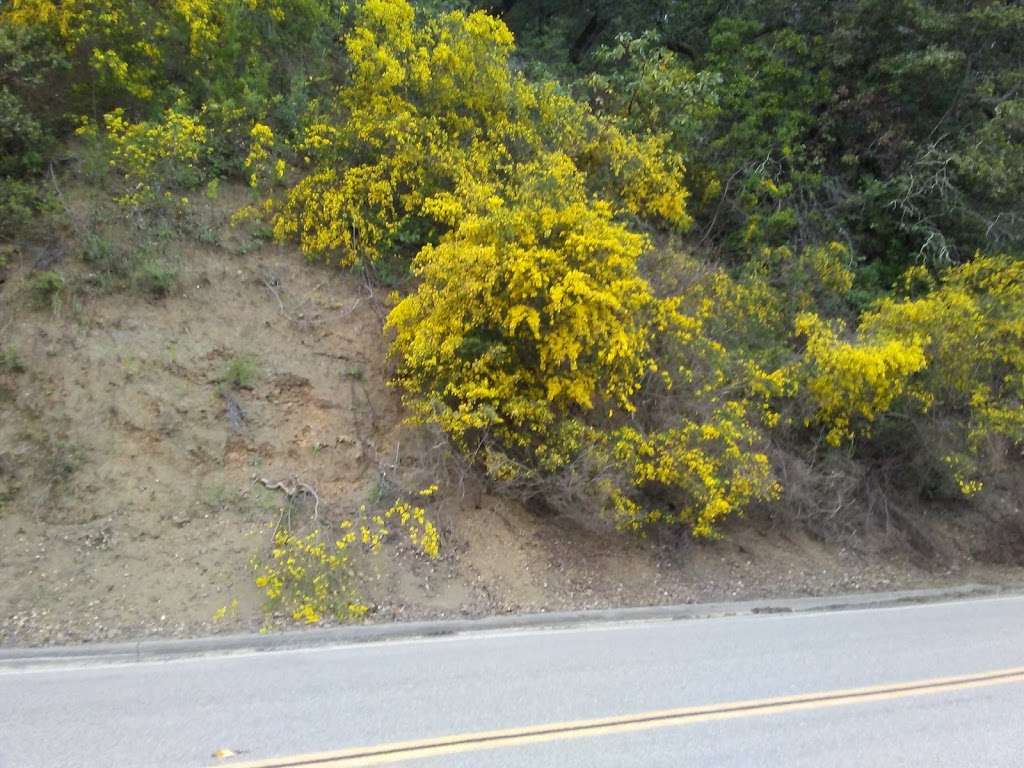 Observation point of Upper San Leandro Reservoir | Pinehurst Rd, Oakland, CA 94619, USA