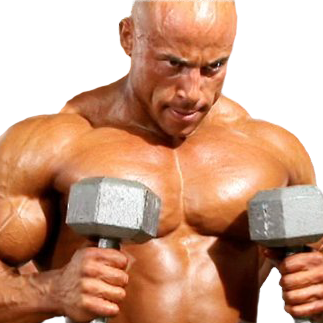 Muscle Factory Fitness | 43172 Christy St, Fremont, CA 94538, USA | Phone: (408) 824-3541