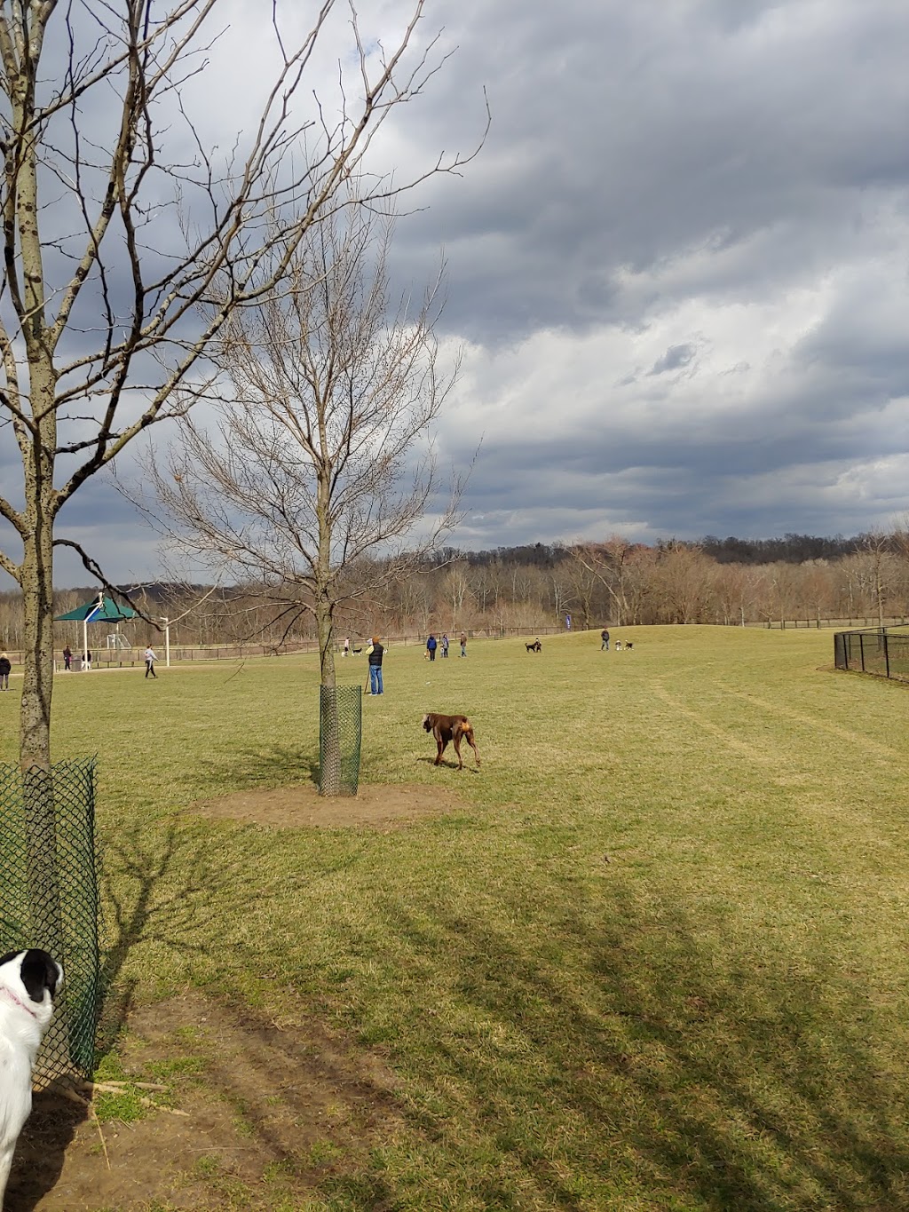 Simmonds Family Dog Park | 8715 Hamilton Cleves Pike Rd, Cleves, OH 45002, USA | Phone: (513) 521-7275