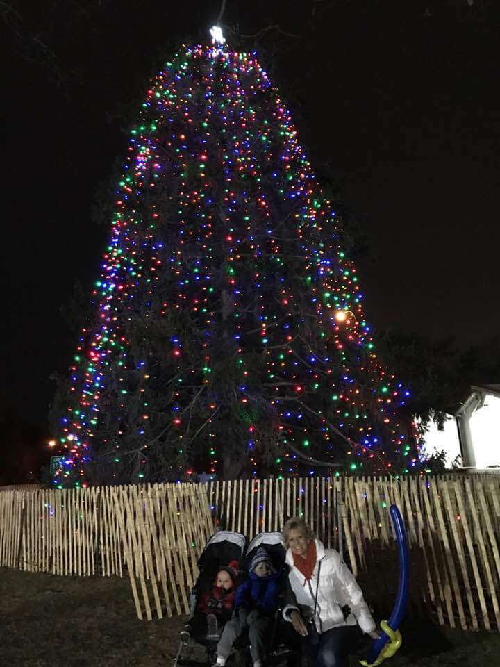 Belmont Lake Christmas Tree | West Babylon, NY 11704