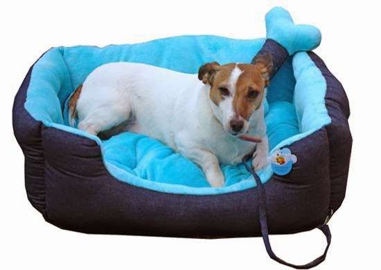 Ace Pets R Us | 15 Bootham Cl, Billericay CM12 9NQ, UK | Phone: 01277 651529