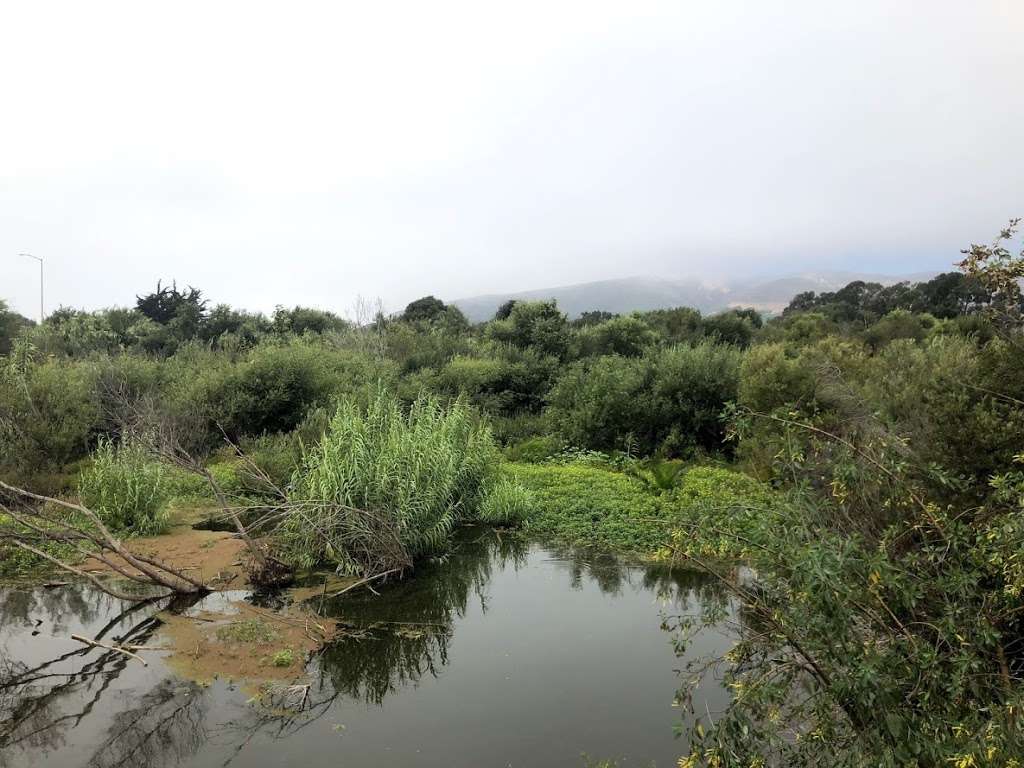 Willoughby Preserve | Ventura, CA 93001, USA