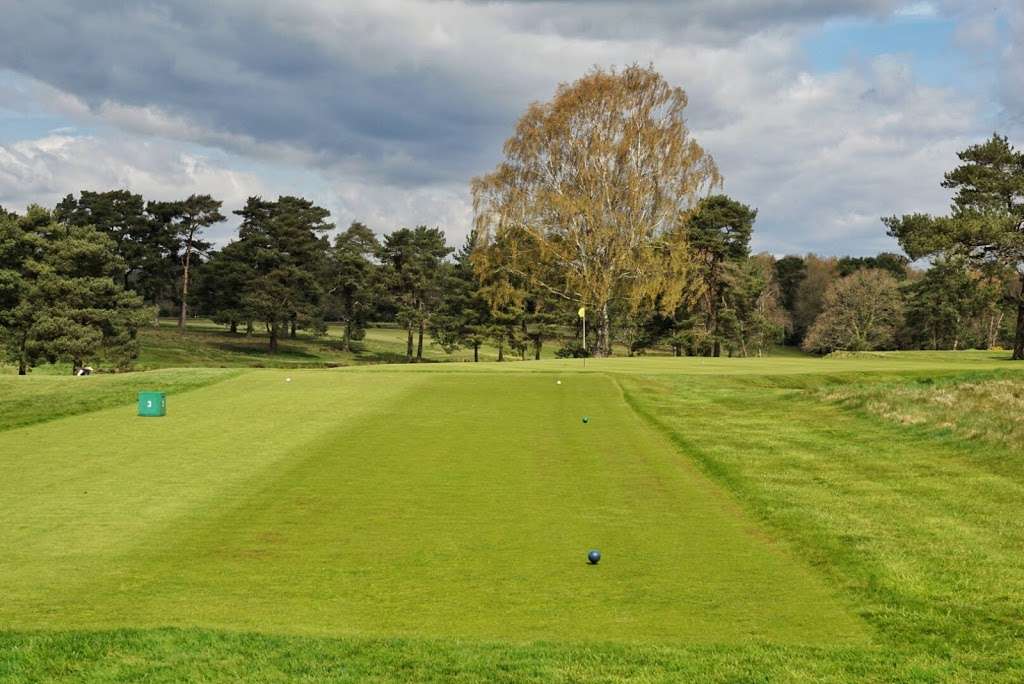 Peaford Simon | Walton Heath Golf Club/Deans La, Walton on the Hill, Tadworth KT20 7TP, UK | Phone: 01737 812152