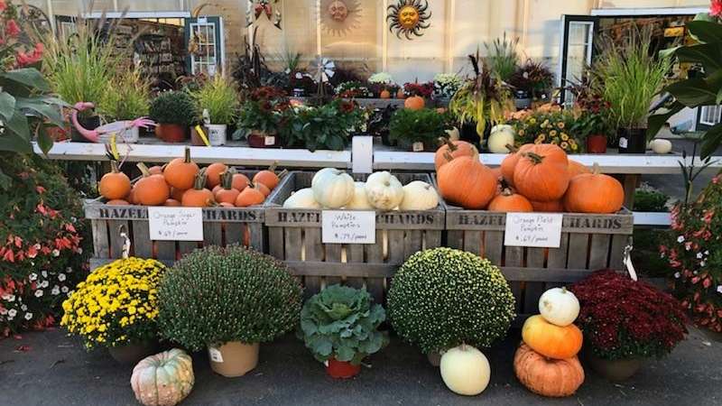 Sunny Valley Farms Amherst | 42 NH-101A, Amherst, NH 03031, USA | Phone: (603) 673-6160