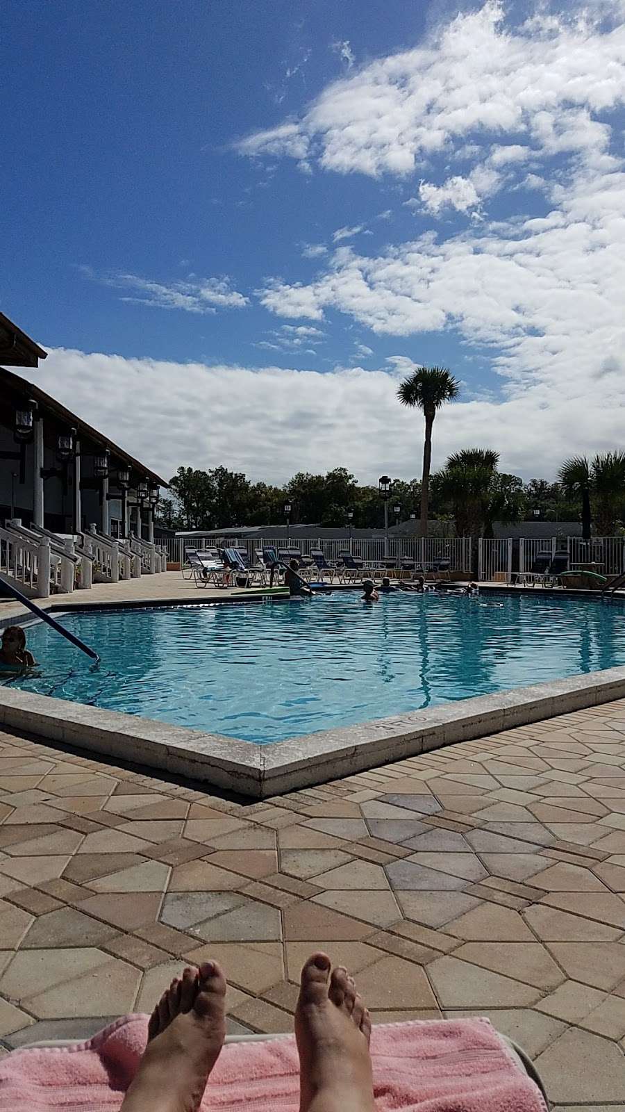 Lakeland Harbor | 4747 North Road 33, Lakeland, FL 33805, USA | Phone: (888) 506-4203