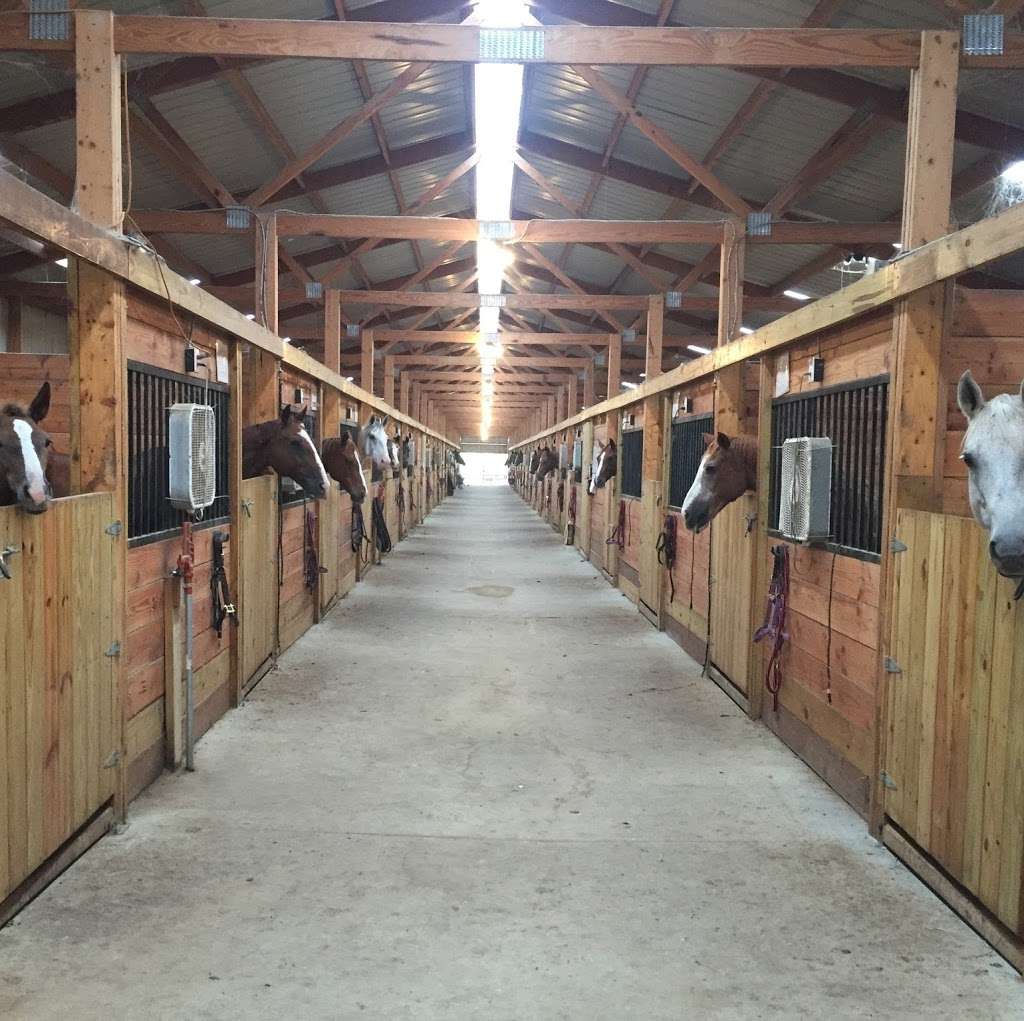 Tally Ho Equestrian Centre - Horse Boarding, Riding Lessons, Tra | 27703 187th St, Leavenworth, KS 66048, USA | Phone: (913) 704-9405