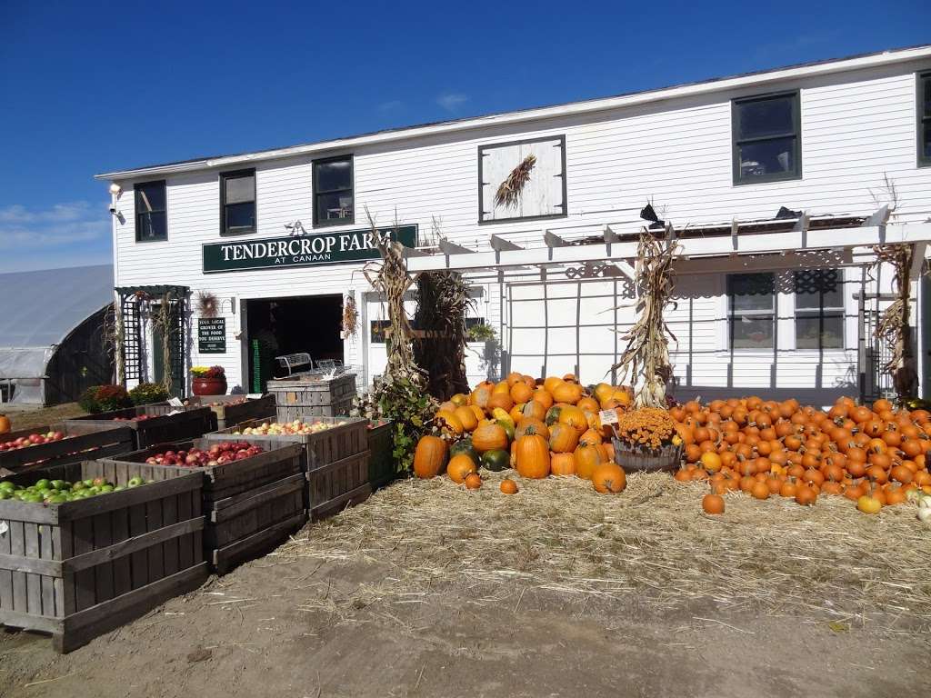 Tendercrop Farms | 93 Main St, Wenham, MA 01984, USA | Phone: (978) 468-0041