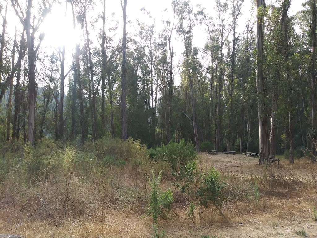 Loop Road Parking | Charles Lee Tilden Regional Park, Berkeley, CA 94708