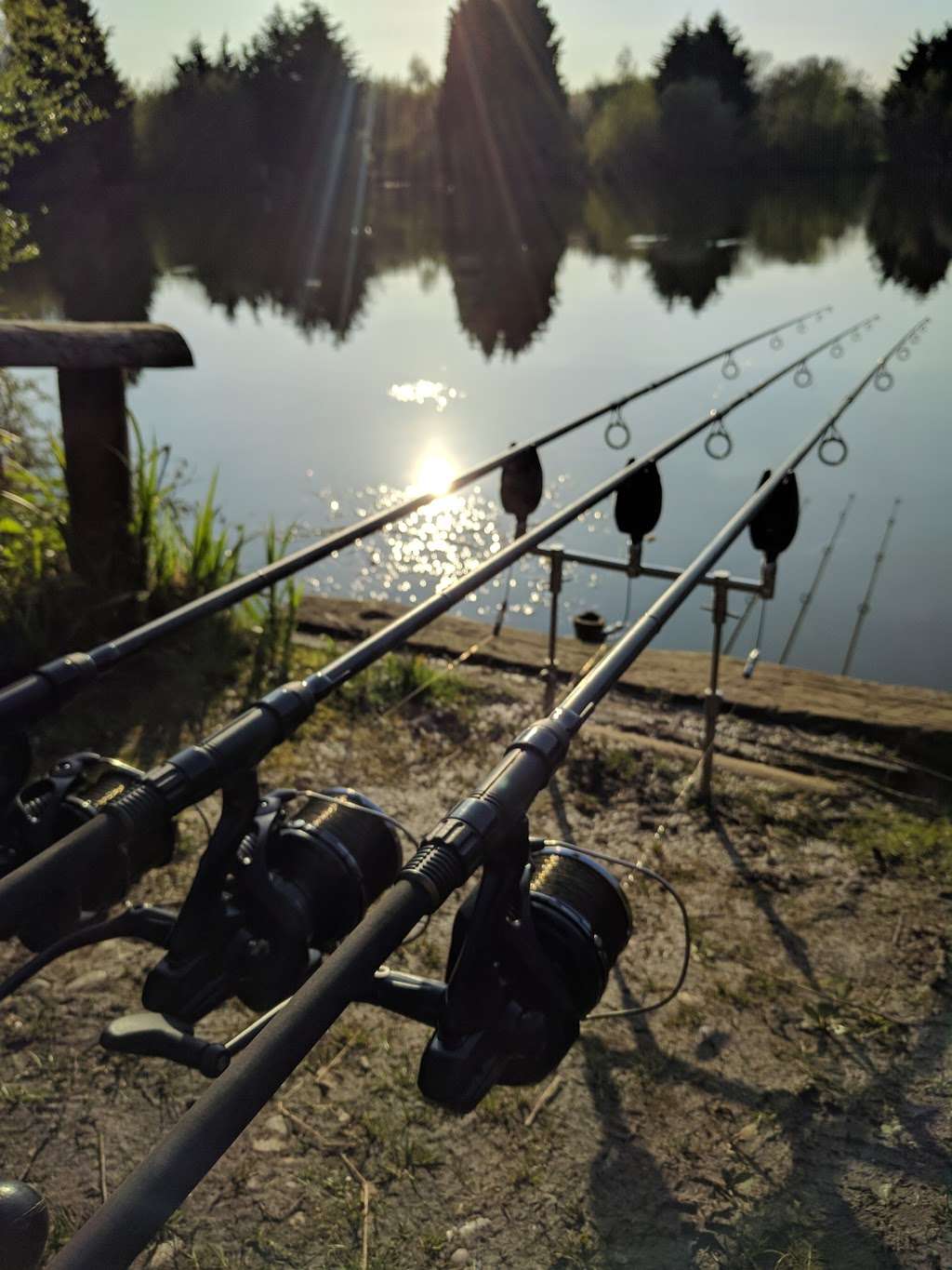 Oakwood Fisheries | Members Lake, Bottom Lake, Blackmore Road, Ingatestone CM4 0NW, UK | Phone: 07850 645142