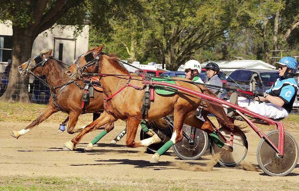 Sunshine Raceway & Mobile Home Park | 9553 Old Lakeland Hwy, Dade City, FL 33525, USA | Phone: (813) 546-6581