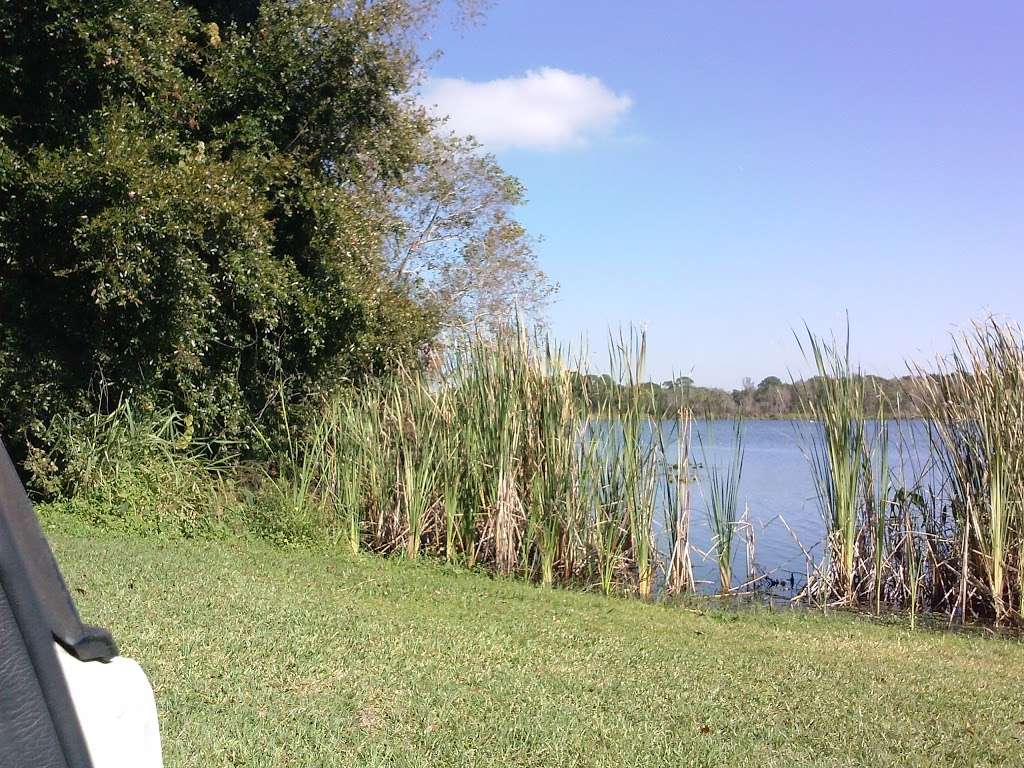 Lake Ned Park | 233 Lake Ned Rd, Winter Haven, FL 33884, USA