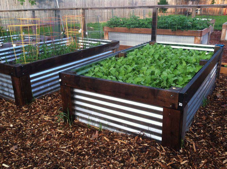 Micro Farms | 7020 W 61st Ave, Arvada, CO 80003, USA | Phone: (303) 588-3640