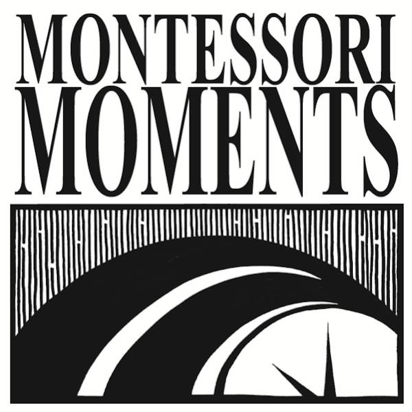 Montessori Moments | 4341, 19115 Spanish Needle Dr, Houston, TX 77084 | Phone: (281) 578-9838
