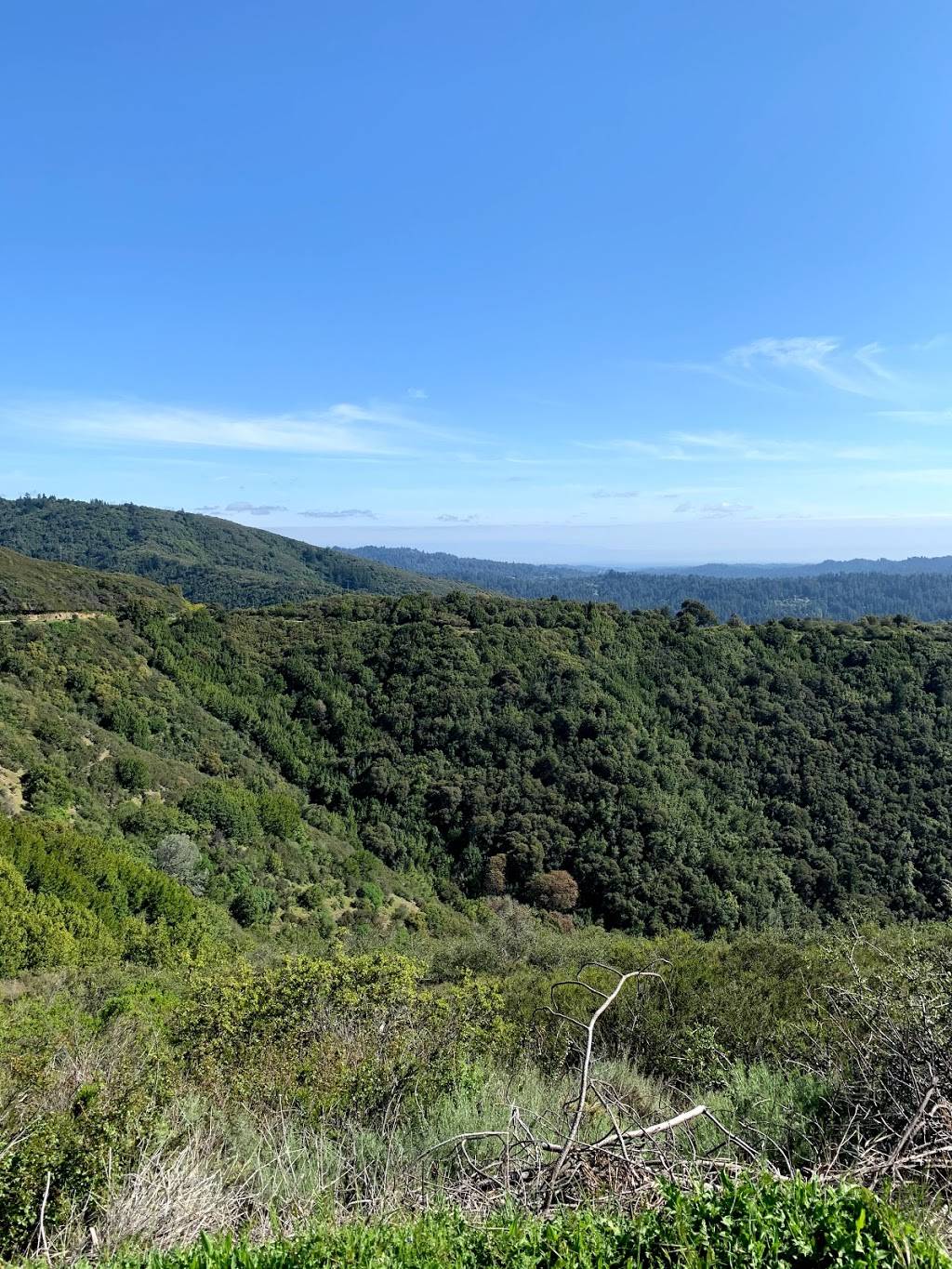 Presto redesign Caterer | 1592 Marietta Dr, San Jose, CA 95118, USA | Phone: (650) 498-0000