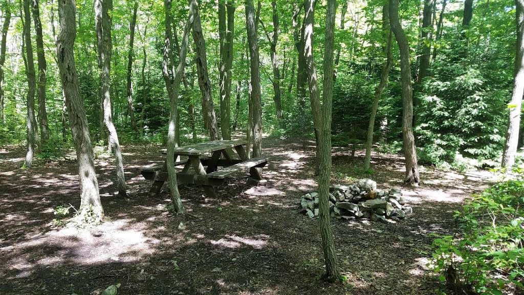 Eagles Nest Shelter Appalachian Trail Pa | Auburn, PA 17922, USA