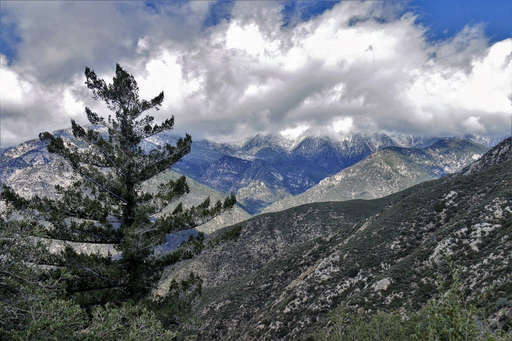 Smith Mountain Trailhead | Azusa, CA 91702, USA