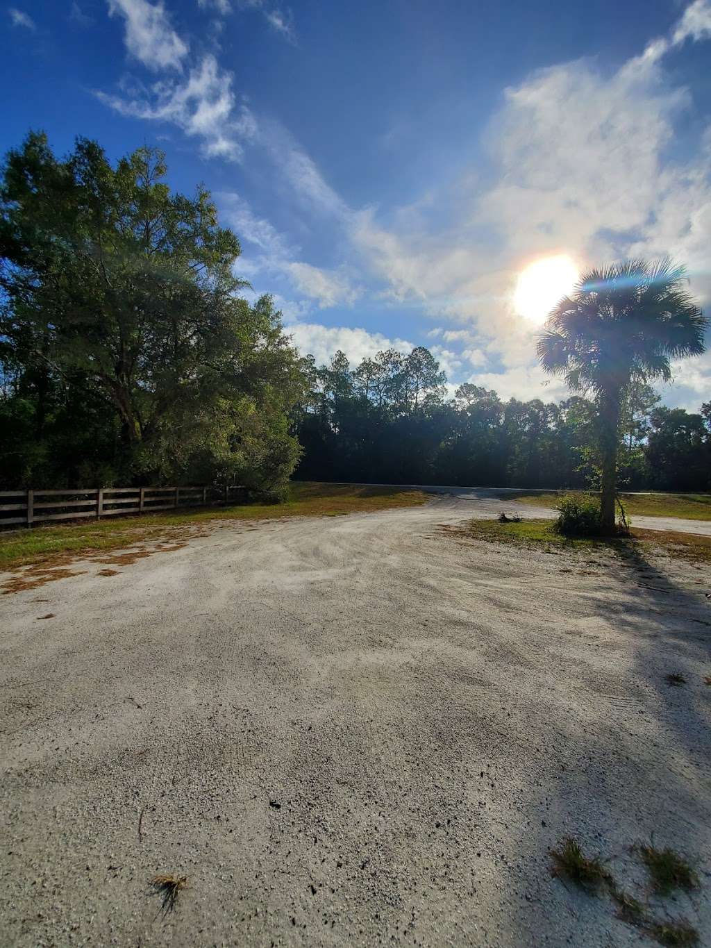 Gator Pond Backcountry Campsite | Unnamed Road, Dade City, FL 33525, USA