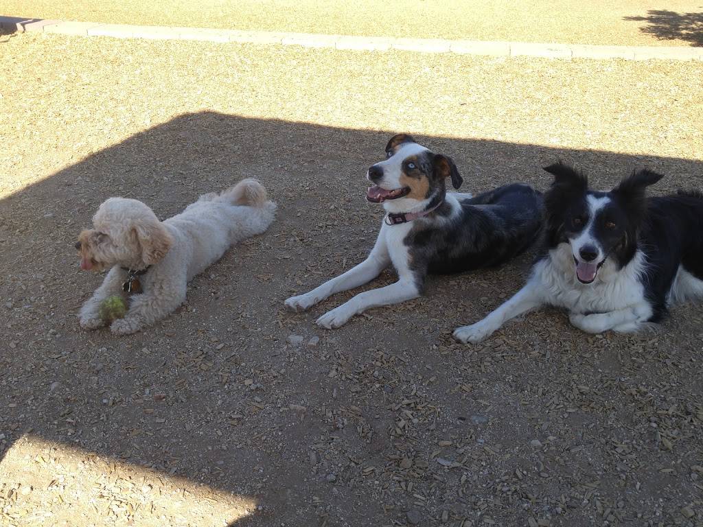 Skyline Dog Park | 12700 Montgomery Blvd NE, Albuquerque, NM 87111, USA | Phone: (505) 768-5353