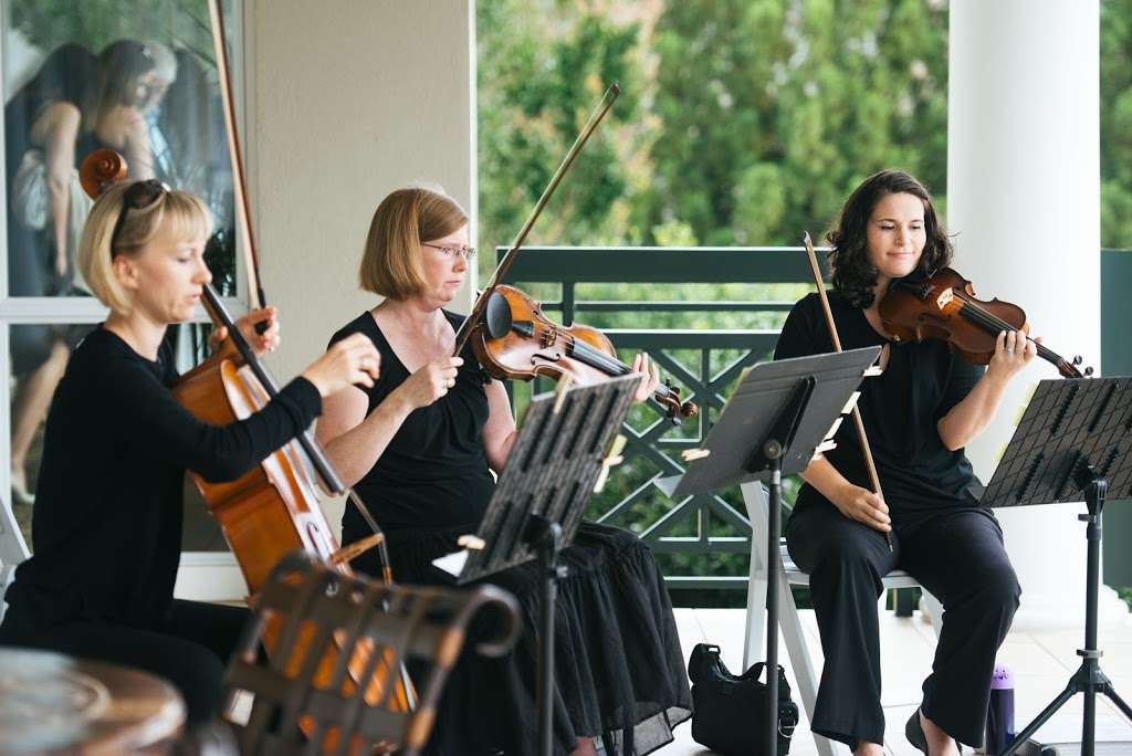 Carolina Royal Strings | 2901 Southern Trace Dr, Waxhaw, NC 28173, USA | Phone: (561) 909-9607