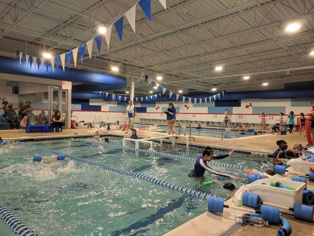 Big Blue Swim School - Niles | 7428 Waukegan Rd, Niles, IL 60714 | Phone: (847) 729-7665