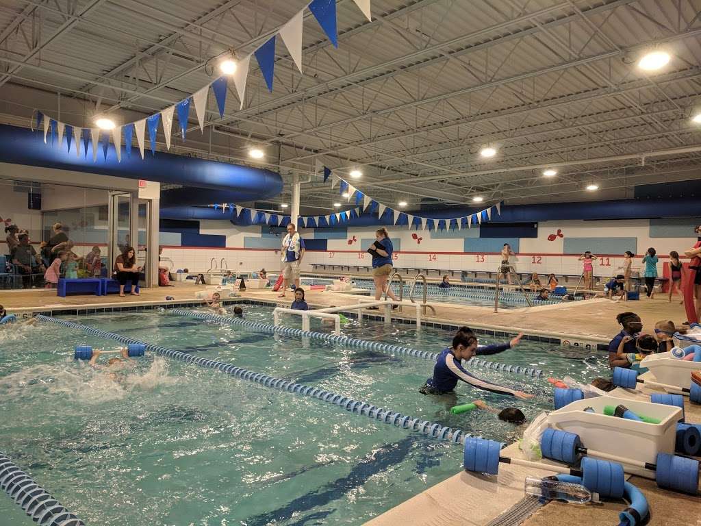 Big Blue Swim School - Niles | 7428 Waukegan Rd, Niles, IL 60714, USA | Phone: (847) 729-7665