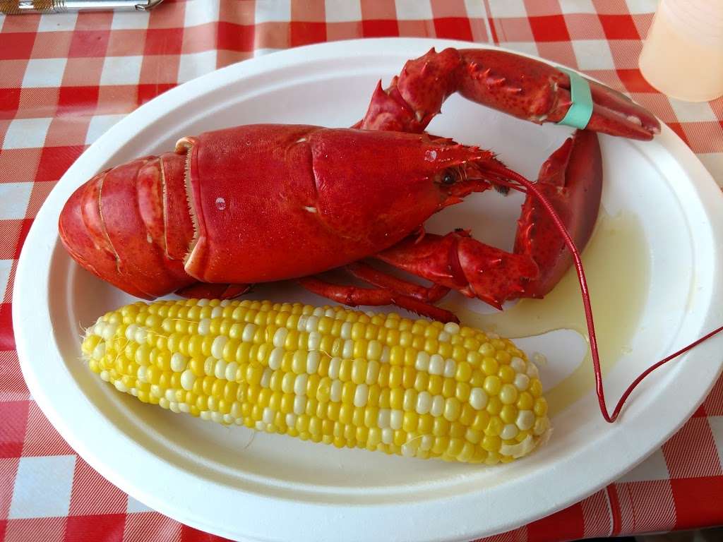 Blue Collar Lobster Co. | 63 Rogers St, Gloucester, MA 01930, USA | Phone: (978) 283-1812