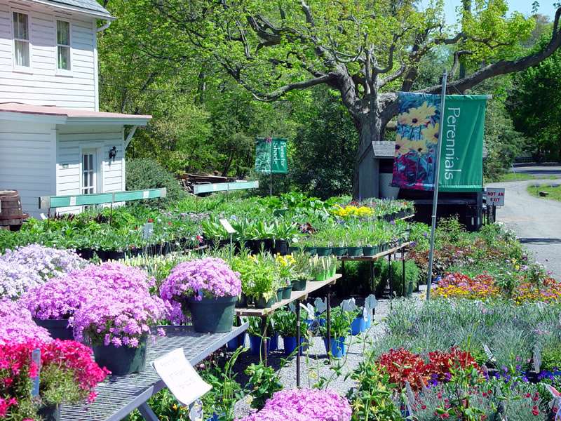 Spring Valley Nurseries | 4038 US-202, Doylestown, PA 18902, USA | Phone: (215) 794-7159