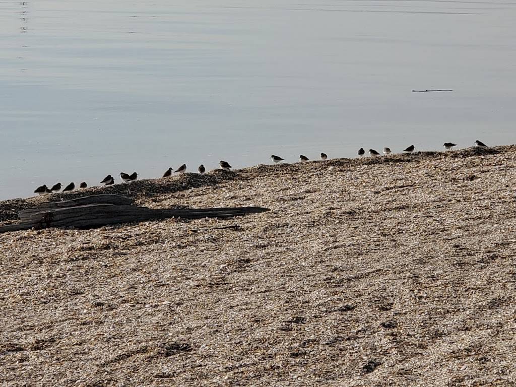 Shorebird Park | Foster City, CA 94404, USA | Phone: (650) 286-3380