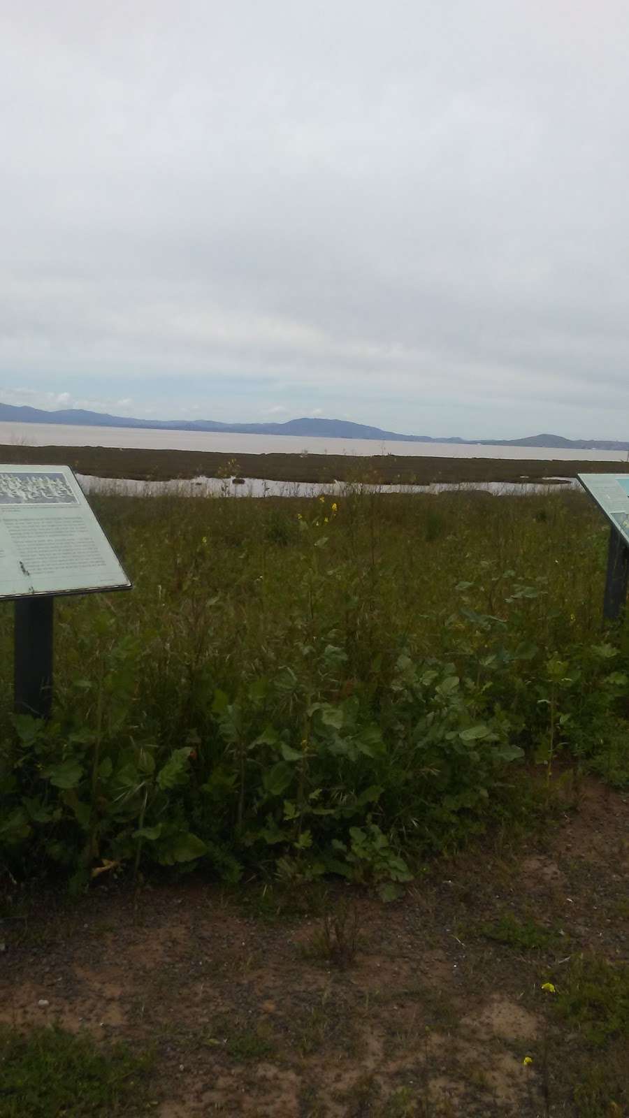 Mare Island San Pablo Bay Hiking Trail | Vallejo, CA 94592, USA