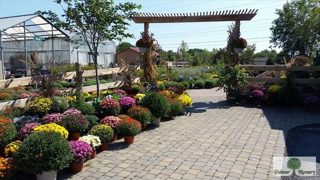 Palmer Nursery | 2210 Corriere Rd Unit A, Easton, PA 18045, USA | Phone: (610) 253-0948