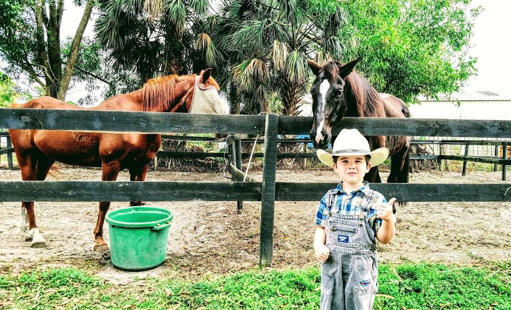 Shady Acres Stables | 14970 Gruber Ln, Loxahatchee Groves, FL 33470 | Phone: (561) 398-0447