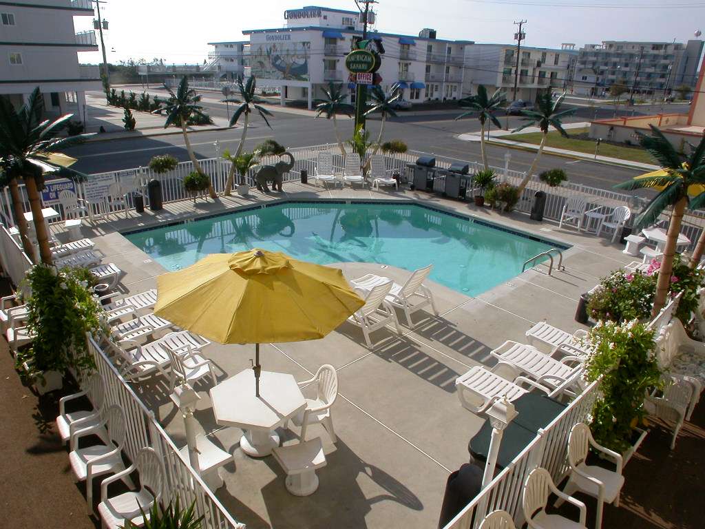 American Safari Motel | 5610 Ocean Ave, Wildwood Crest, NJ 08260, USA | Phone: (609) 522-0157