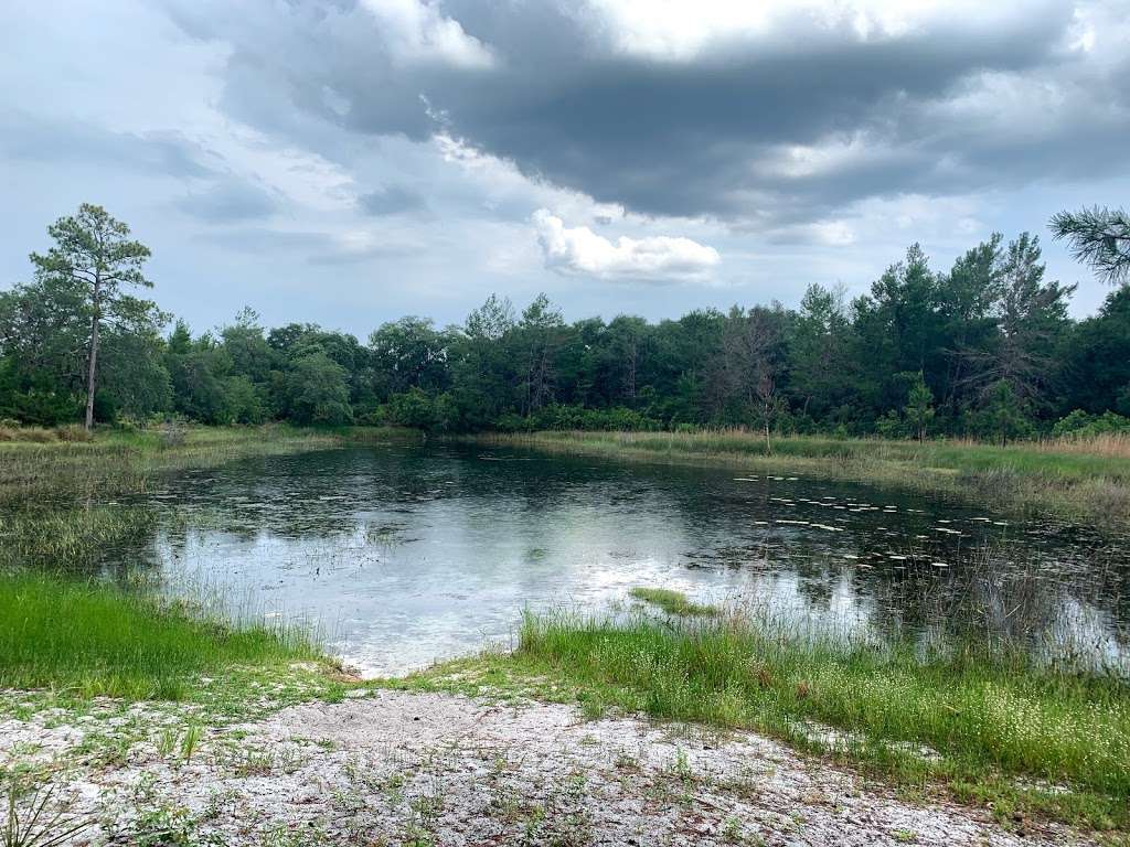 Hidden Pond | Juniper Springs Recreation Area, Florida 40, Silver Springs, FL, Astor, FL 32102, USA