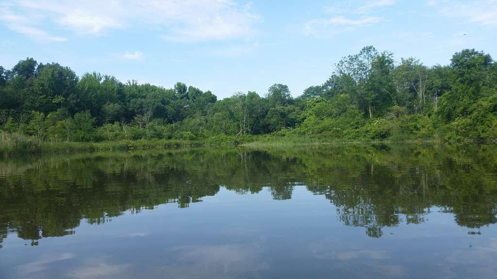 Bush Declaration Natural Resources Management Area | Abingdon, MD 21009, USA